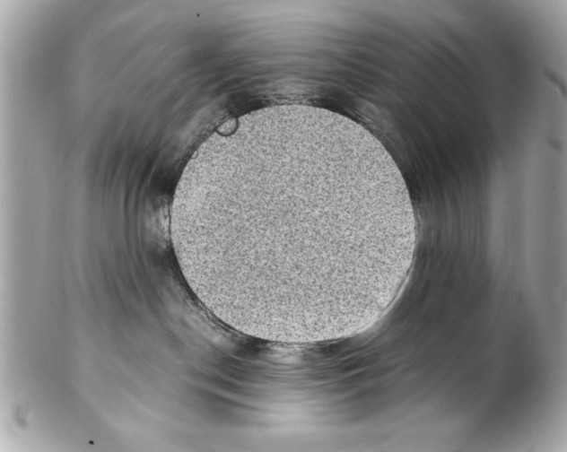 X0000102010190200808151301