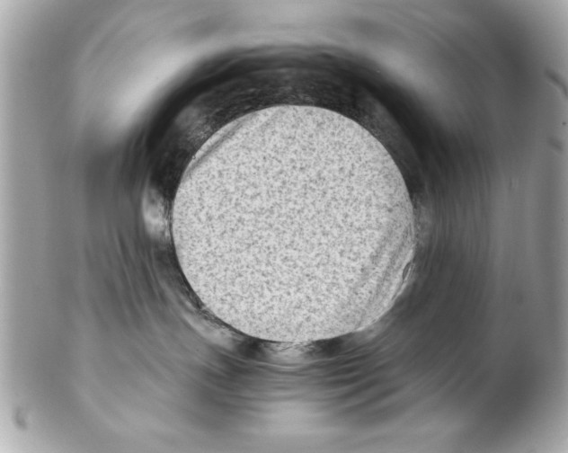 X0000102010191200808151301