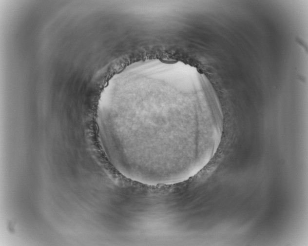 X0000102010192200808151301