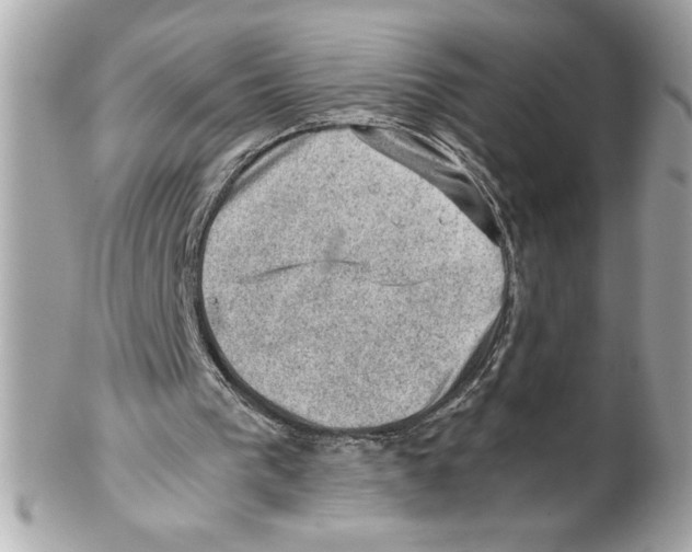 X0000102010193200808151300