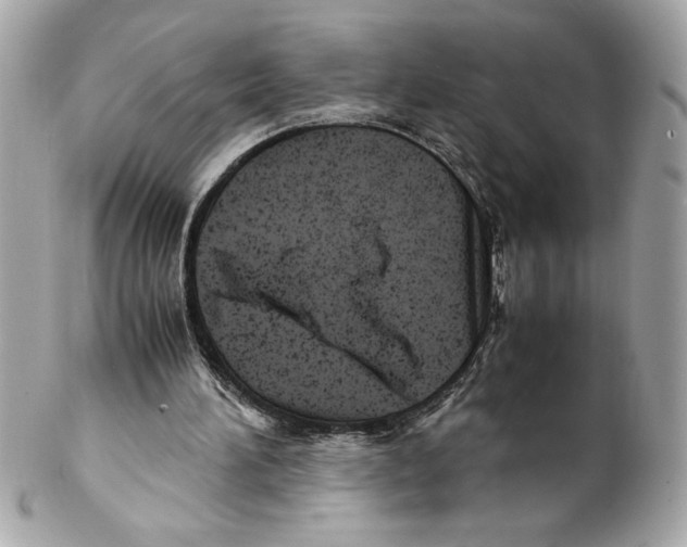 X0000102010196200808151300