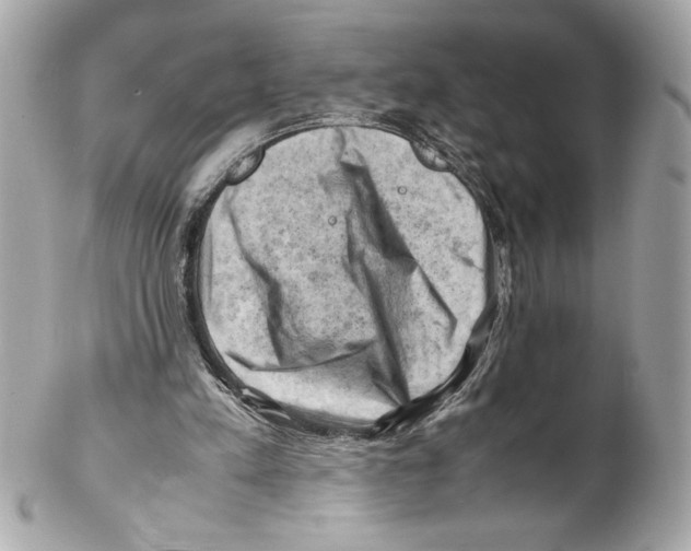 X0000102010197200808151300