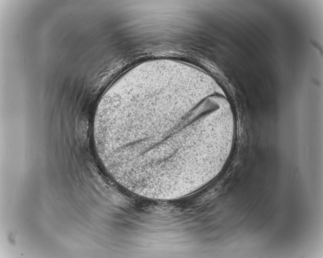 X0000102010201200808151300