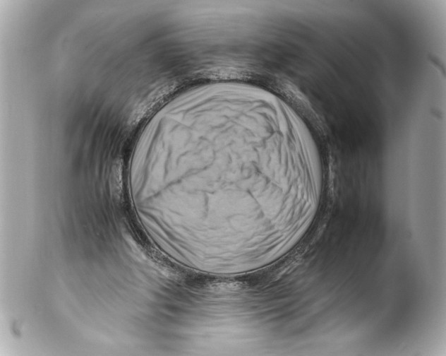 X0000102010202200808151300