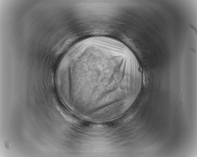 X0000102010205200808151300