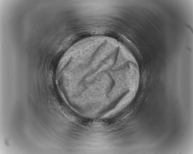 X0000102010209200808151259