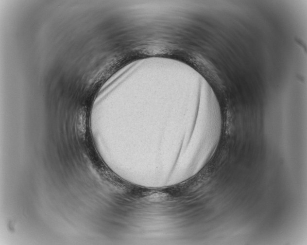 X0000102010210200808151259