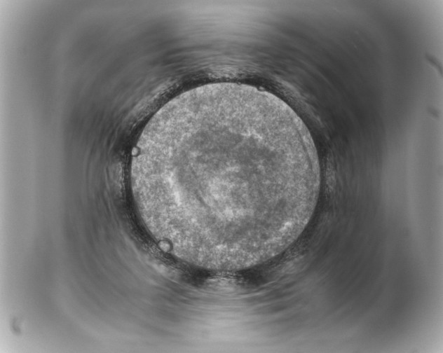 X0000102010211200808151259