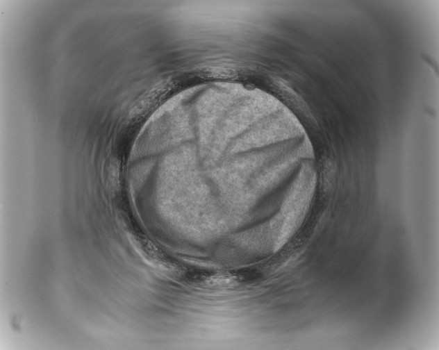 X0000102010213200808151259