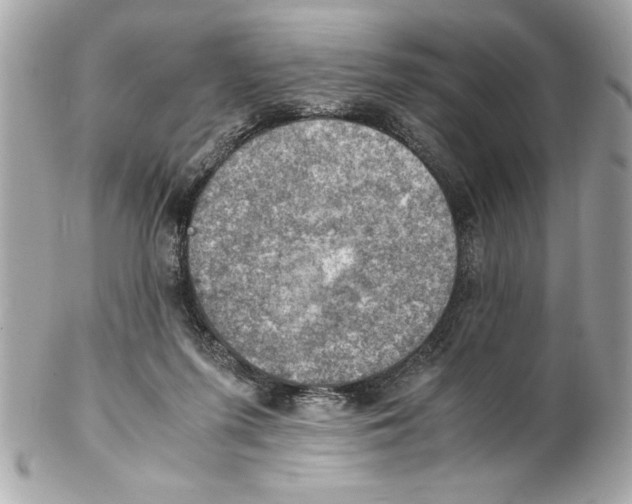 X0000102010215200808151259