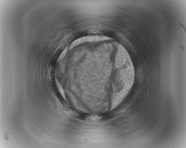 X0000102010217200808151259