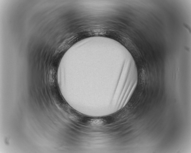 X0000102010218200808151259