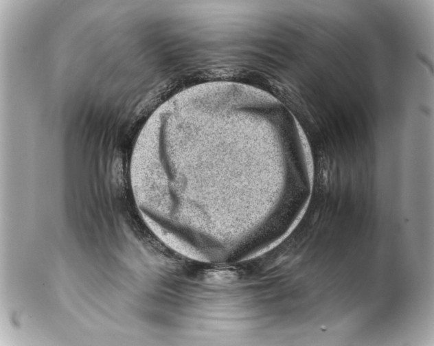 X0000102010220200808151259