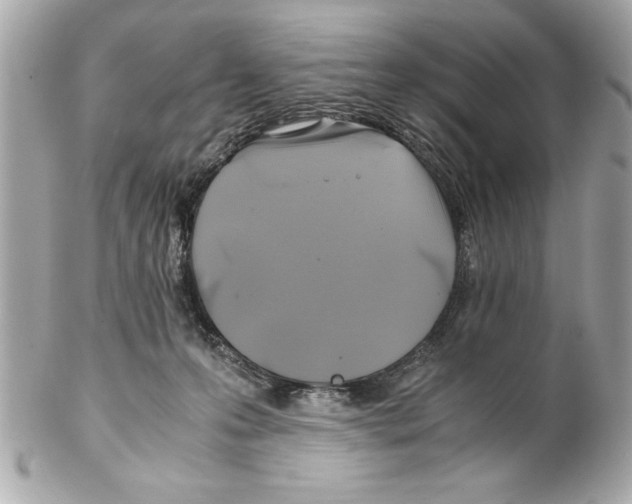 X0000102010223200808151259