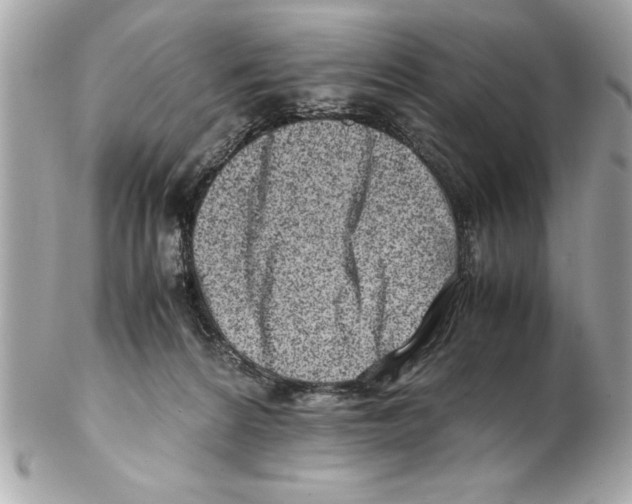 X0000102010224200808151259