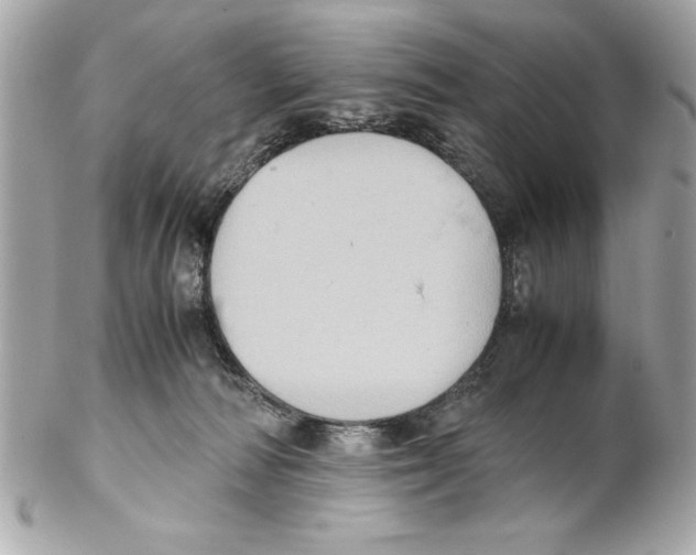 X0000102010226200808151259