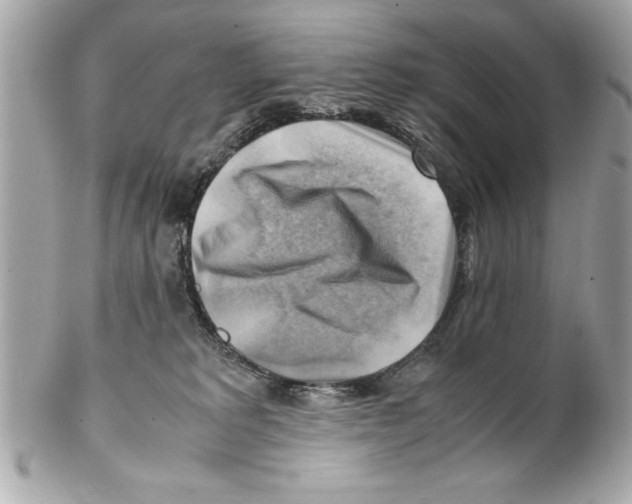 X0000102010229200808151259