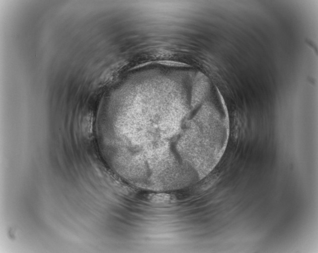 X0000102010230200808151259