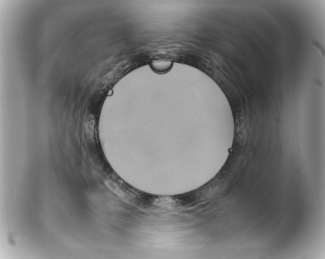 X0000102010231200808151259