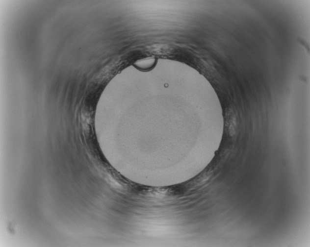 X0000102010235200808151259