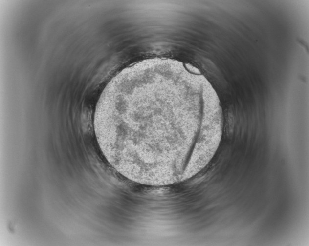 X0000102010236200808151259