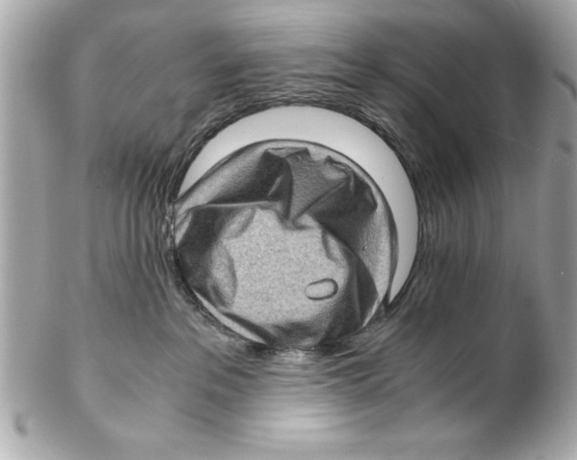 X0000102010237200808151259