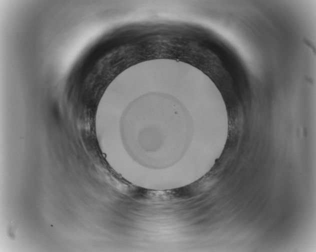 X0000102010239200808151259