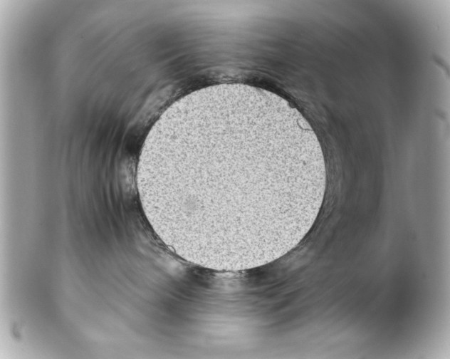 X0000102010240200808151259