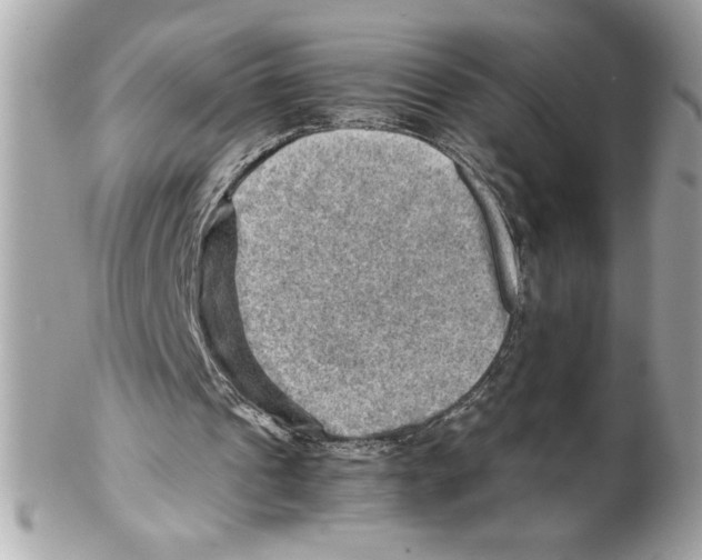 X0000102010241200808151258