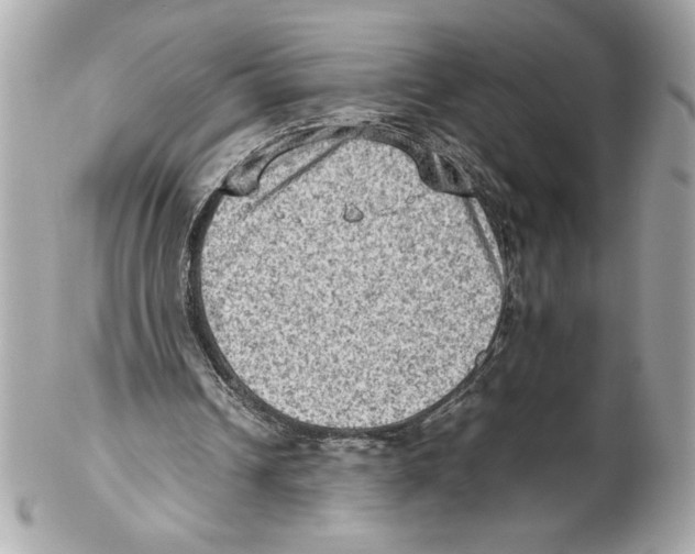 X0000102010242200808151258