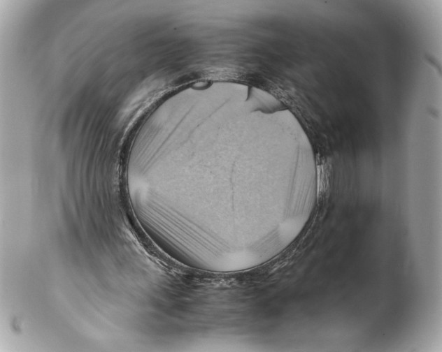 X0000102010243200808151258