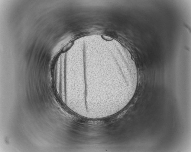 X0000102010245200808151258