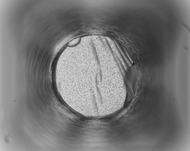 X0000102010246200808151258