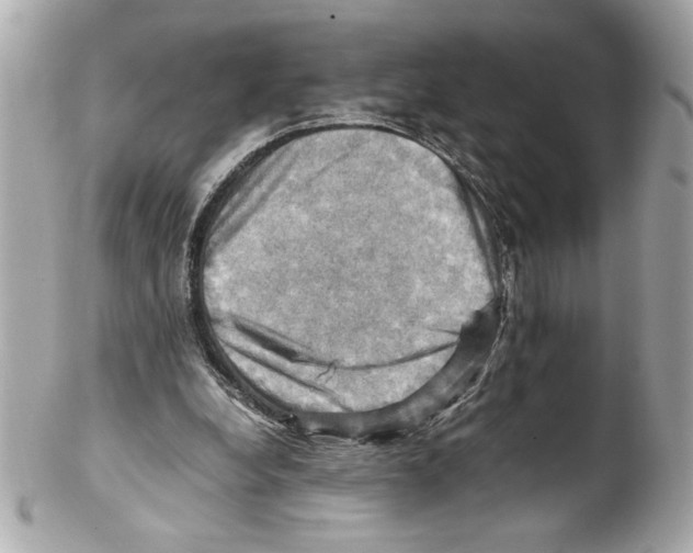 X0000102010248200808151258