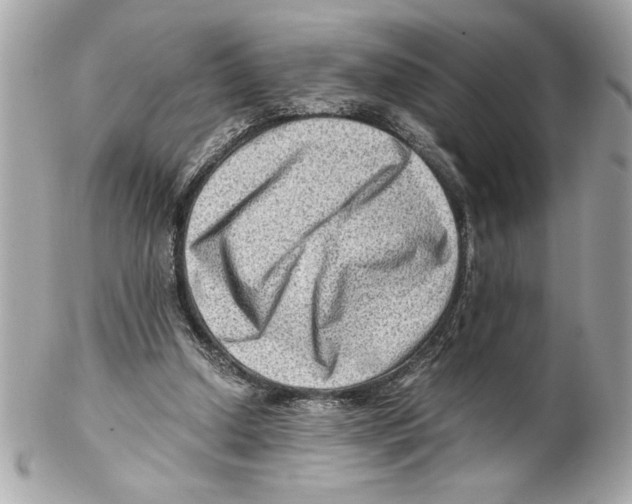 X0000102010250200808151259