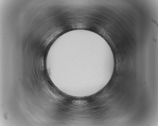 X0000102010251200808151259