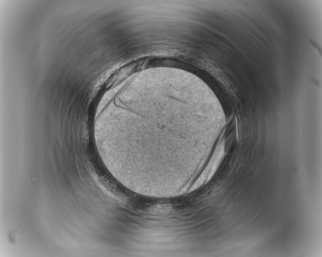 X0000102010252200808151259