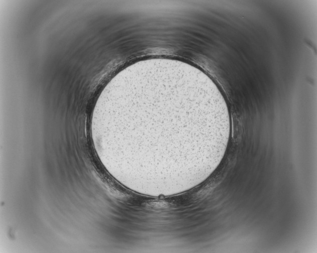 X0000102010253200808151259