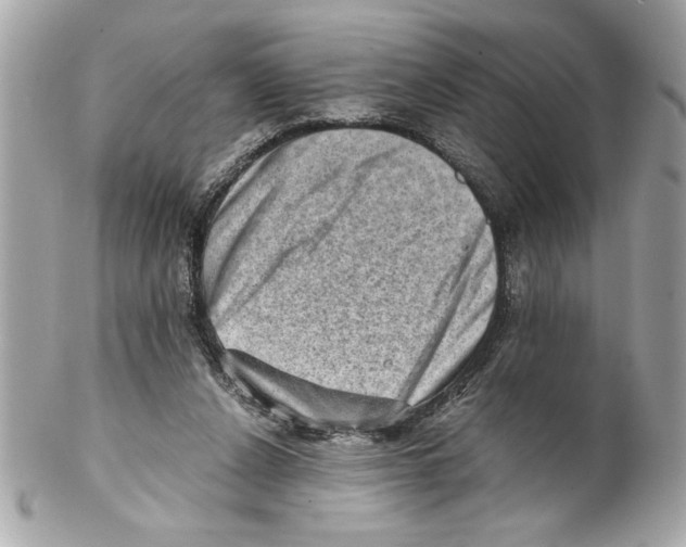 X0000102010256200808151259