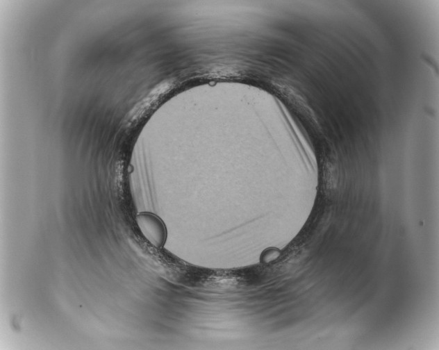 X0000102010260200808151259