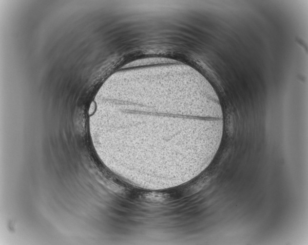 X0000102010261200808151259