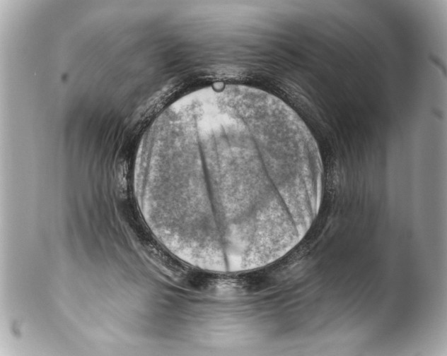 X0000102010264200808151259