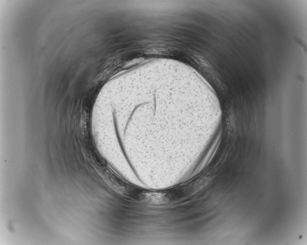 X0000102010265200808151259