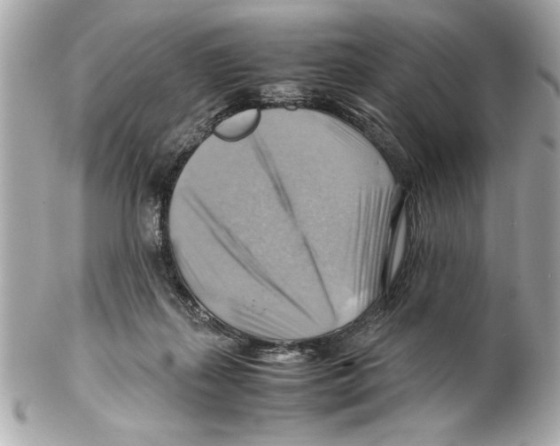 X0000102010267200808151259