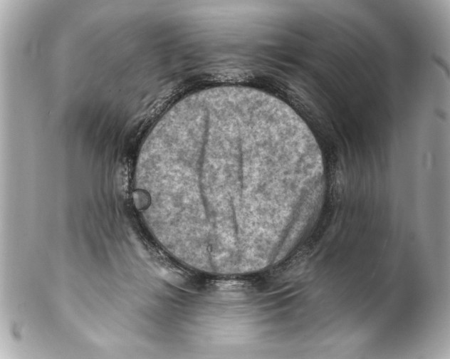 X0000102010268200808151259