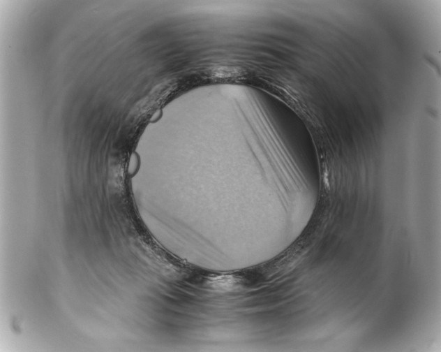 X0000102010269200808151259