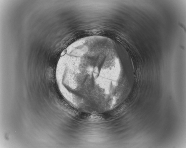 X0000102010270200808151259