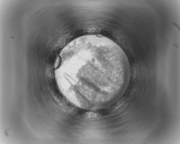 X0000102010272200808151259