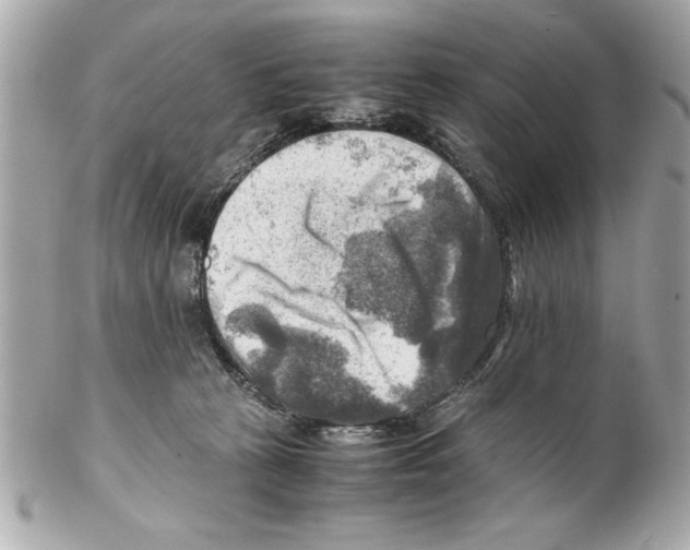 X0000102010273200808151259