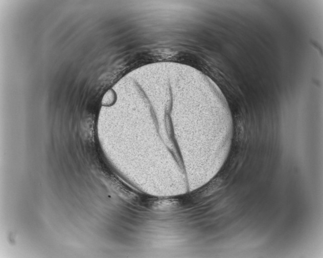 X0000102010274200808151259